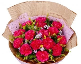 母亲过生日应该送什么鲜花？康乃馨代表什么含义？