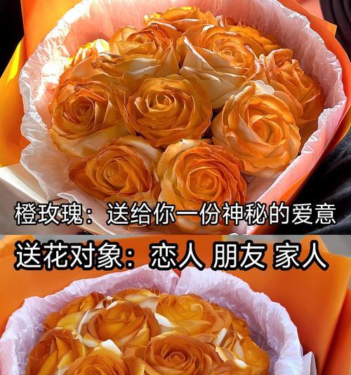 惊喜玫瑰花的寓意是什么？送玫瑰花有何特别意义？