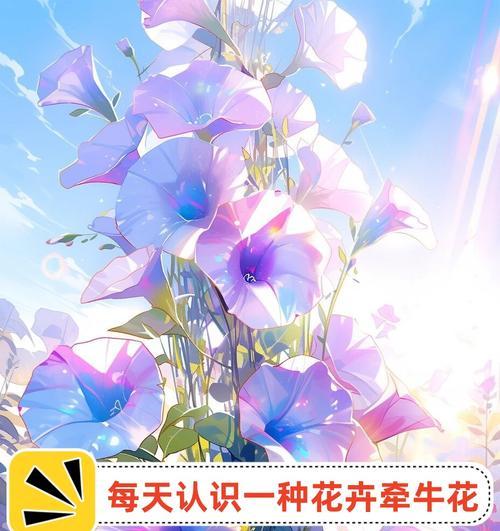 不同种类的花都有哪些花语？它们各自代表什么？