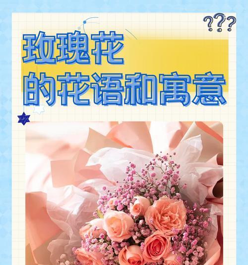 家里的玫瑰花有何象征意义？玫瑰花在家中摆放的含义是什么？