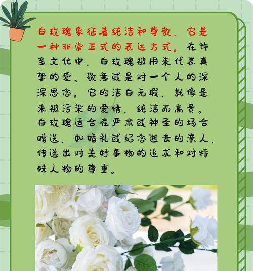 白玫瑰中夹杂红玫瑰的花语是什么？