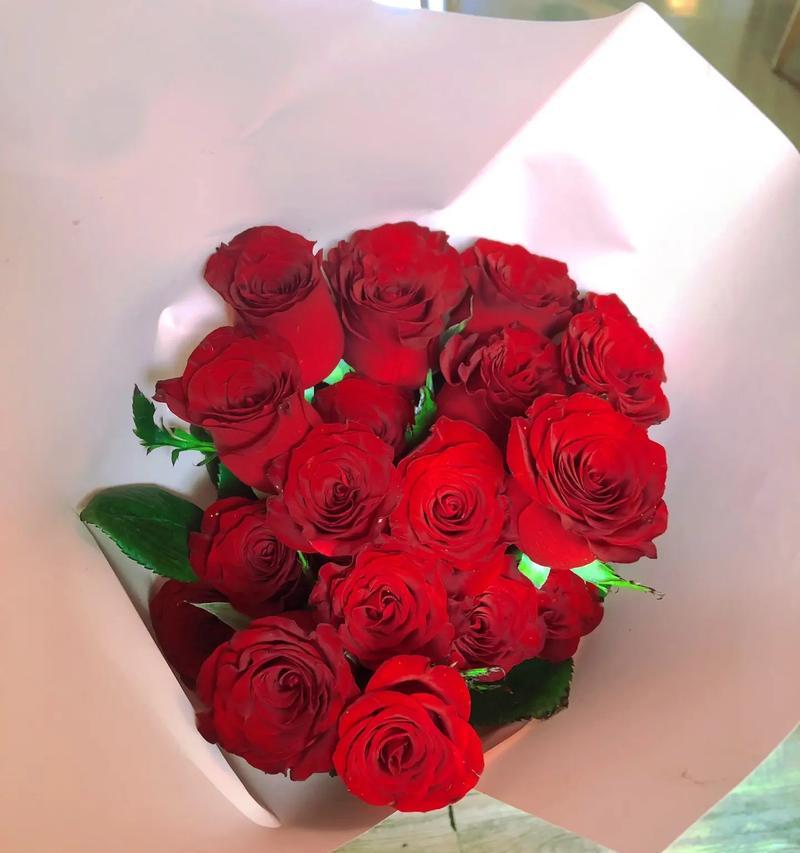 聊天中提到玫瑰花代表什么？玫瑰花在聊天中的含义是什么？