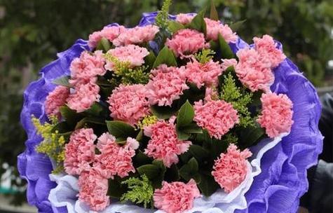 康乃馨通常代表什么？它的花语有哪些？