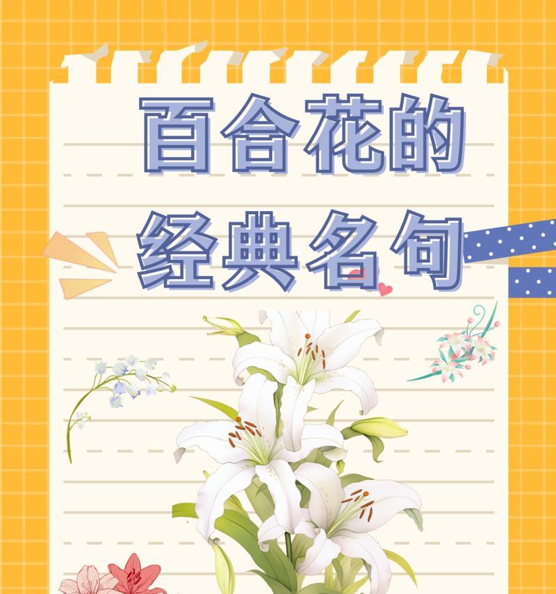 圣诞节白百合的花语是什么？送白百合花有何特别意义？