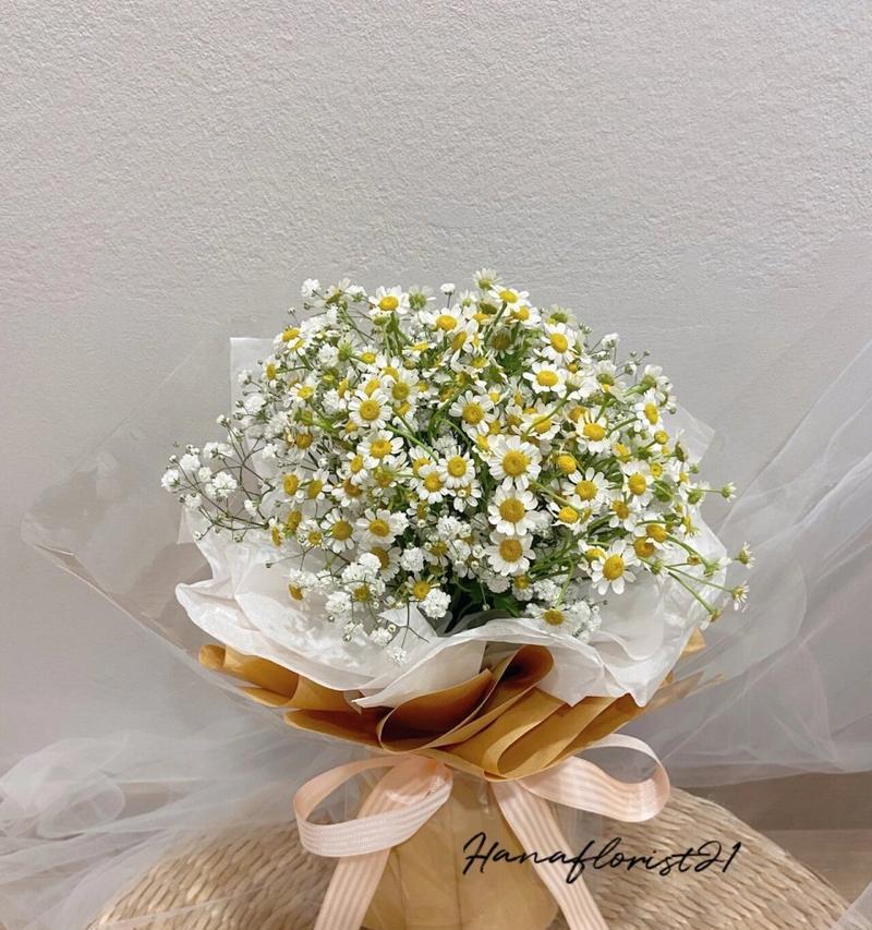 皱菊的花语代表了什么？它在花语中通常象征什么？