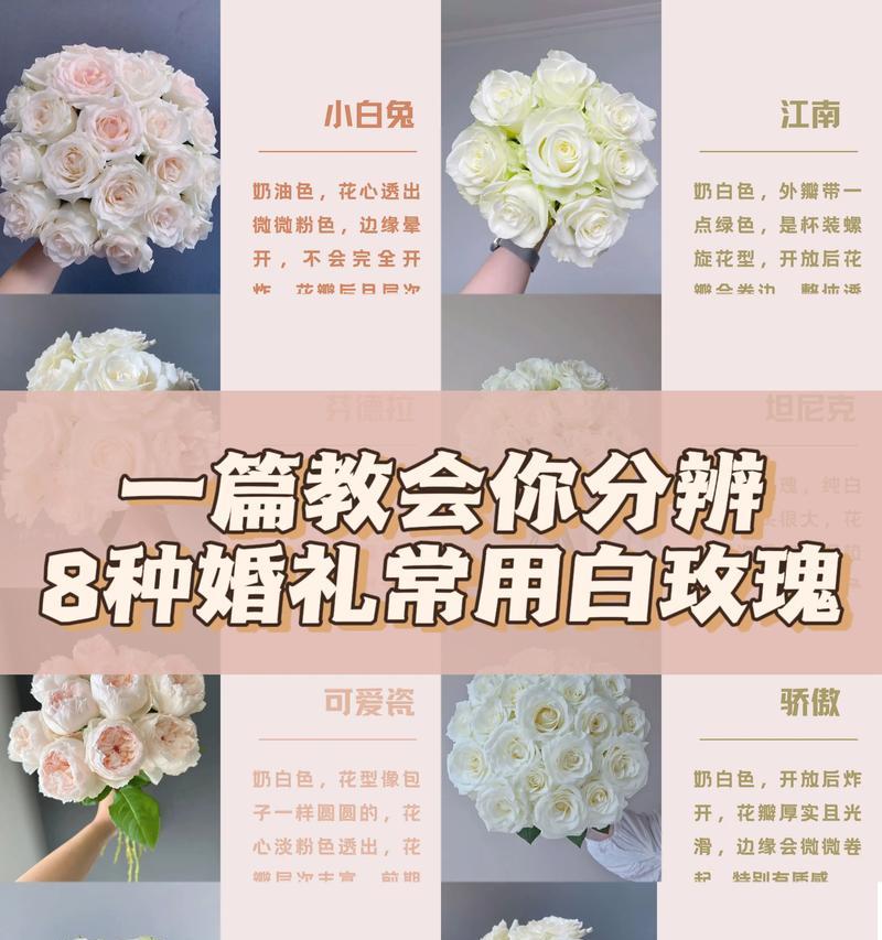 男朋友送粉玫瑰和白玫瑰代表什么？有何含义？