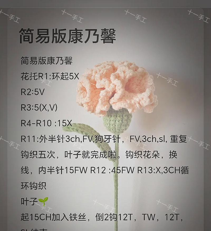 康乃馨和铁线莲各自代表什么？这两种花的花语有何不同？