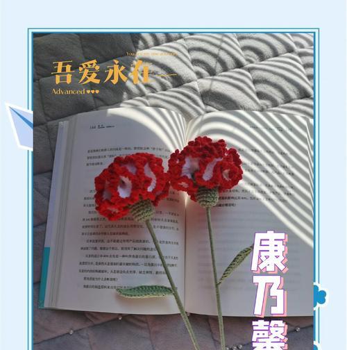 小姑娘提到康乃馨是什么意思？它在花语中代表什么？