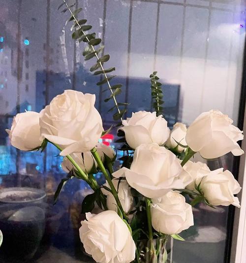 白玫瑰象征着什么？为何常用于婚礼？