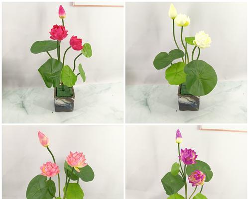 睡莲摆件和荷花摆件的寓意是什么？
