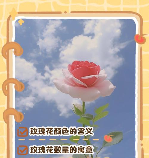 回来再种玫瑰花的含义是什么？这种行为代表了什么情感？