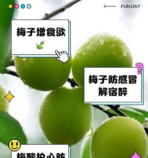 花鸟梅子酱的寓意是什么？