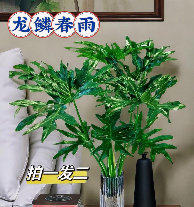 花鸟梅子酱的寓意是什么？