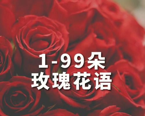 99朵永生花玫瑰的花语是什么？送99朵玫瑰有何特殊含义？