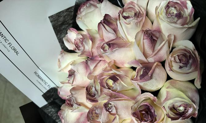 香水百合两件套是什么意思啊？玫瑰花的两个含义是什么？