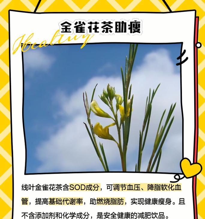 喝茶赏花有何寓意？茶与花结合的象征意义是什么？
