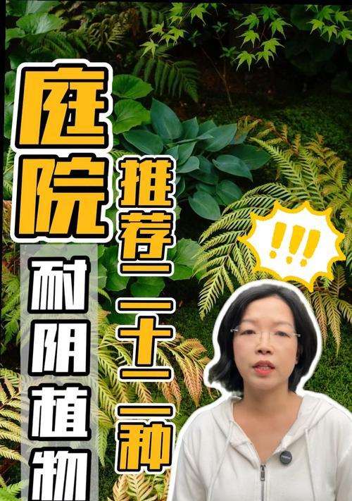 耐阴植物有哪些？如何选择适合的耐阴植物？