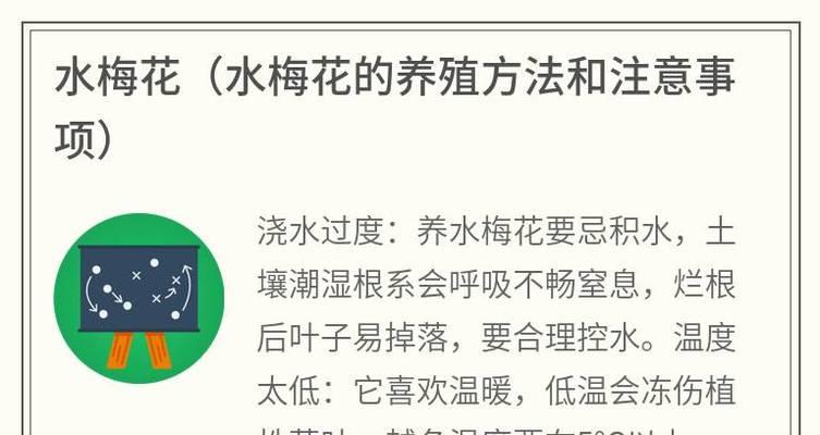 水插植物多久换一次水？如何判断水插植物是否需要换水？