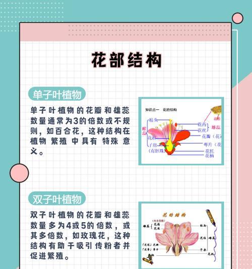单子叶植物有哪些代表？它们的特征是什么？