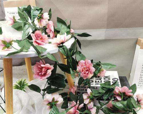 塑料藤蔓绿植花卉的种类有哪些？