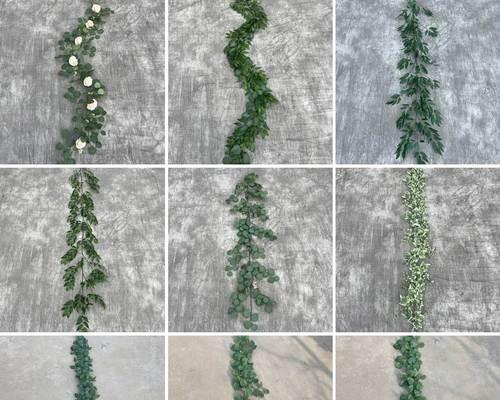 塑料藤蔓绿植花卉的种类有哪些？