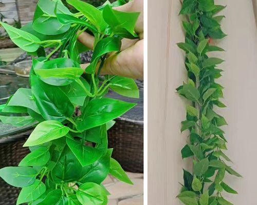 塑料藤蔓绿植花卉的种类有哪些？