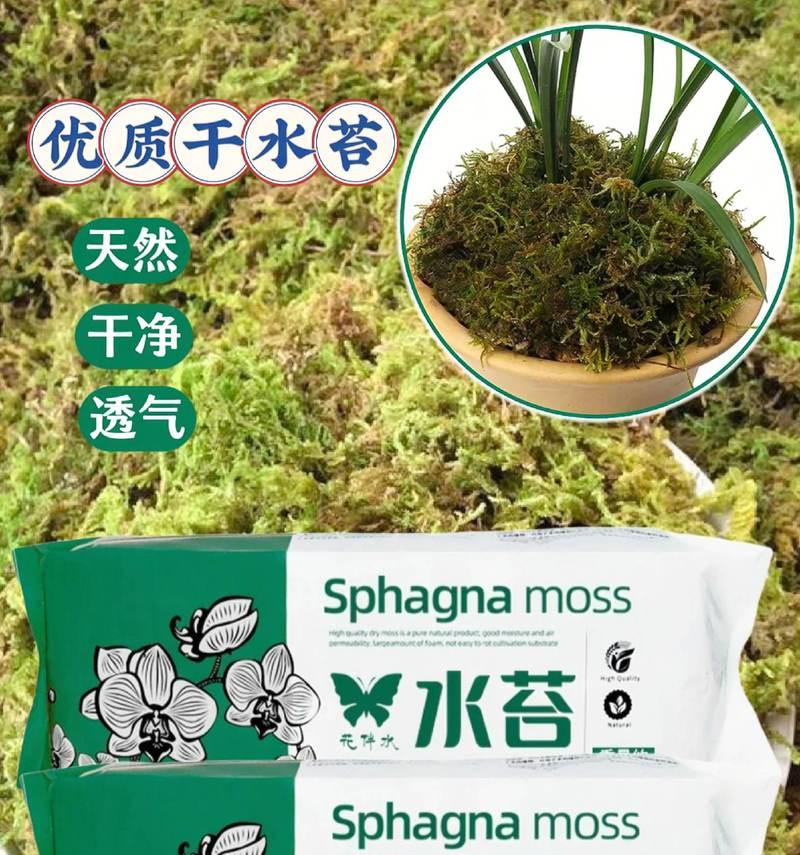 白水苔如何用于植物养护？它有什么特别之处？