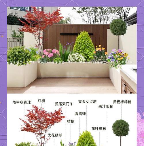 家庭花园植物栽培有哪些技巧？
