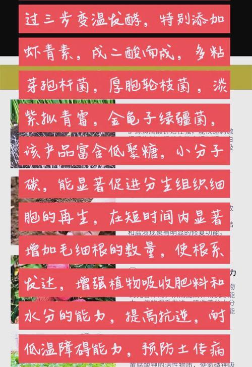 肉植物怎么施肥？正确的施肥方法和频率是什么？