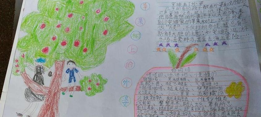 班级种植植物有哪些？如何选择适合学校的植物？