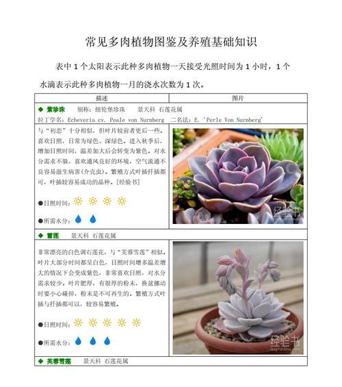 多肉植物会得什么病？如何预防和治疗多肉植物的常见病？