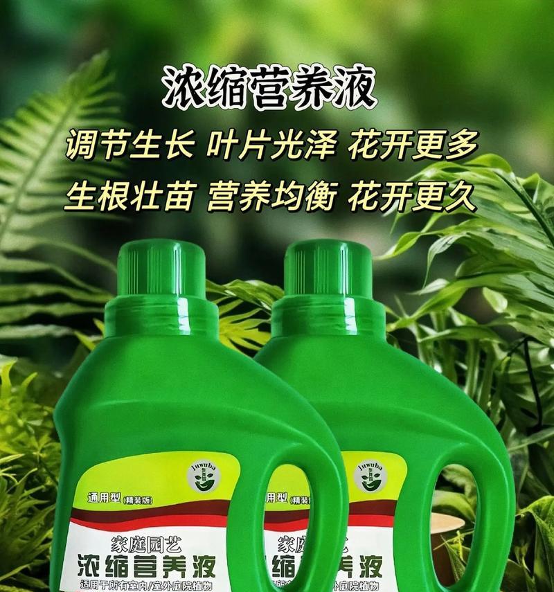 天然植物浓缩原液有哪些？它们对人体有哪些益处？