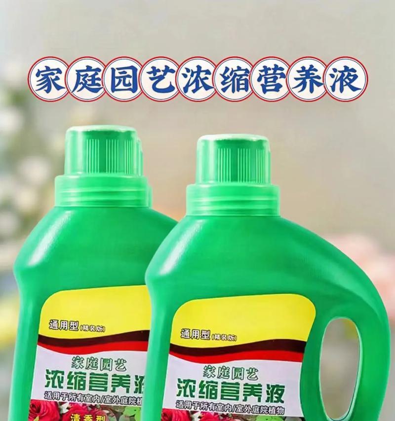 多肉植物用什么营养液？如何正确使用？