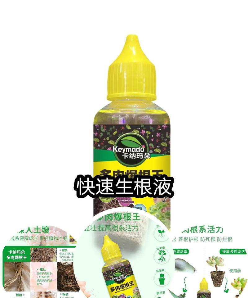 多肉植物用什么营养液？如何正确使用？