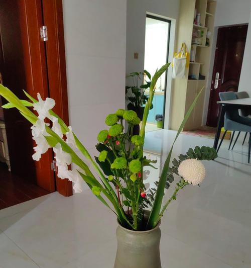 阳台植物怎么放置？如何合理安排阳台植物的放置位置？