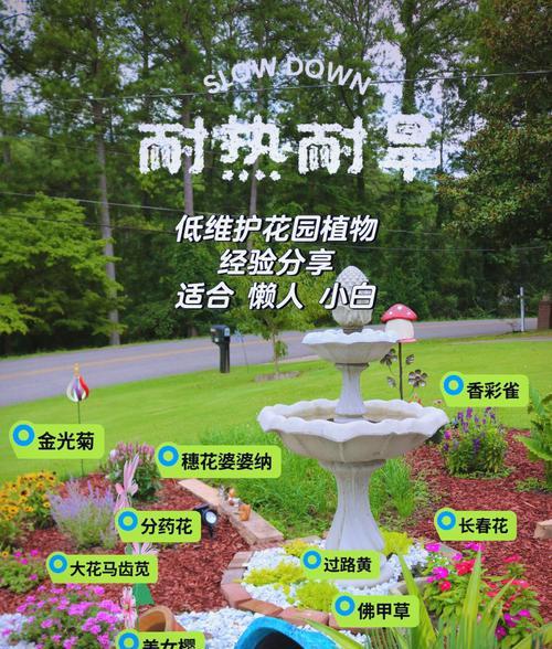 长效景观植物有哪些种类？它们为何能长期保持景观效果？