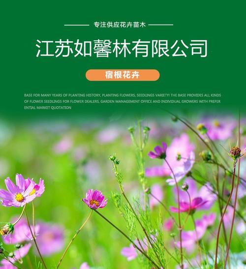 绿化花卉植物资料有哪些？如何选择适合的绿化花卉？