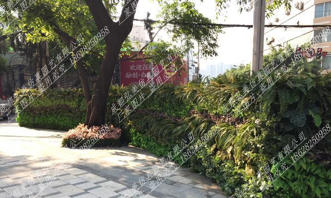 拉萨地区常见的沉水植物有哪些？
