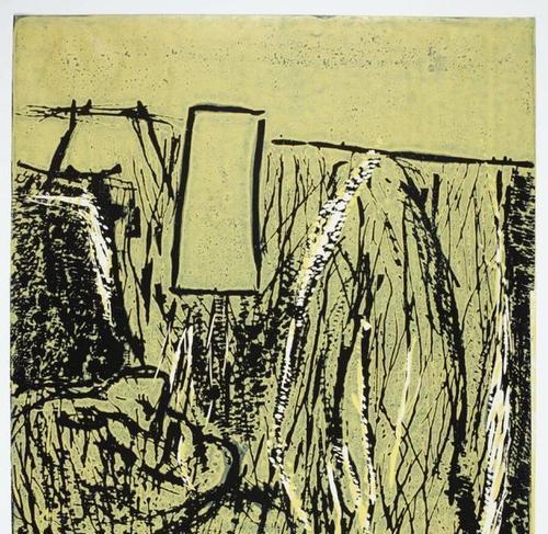 乔治的植物画作有何特点？如何学习他的绘画技巧？