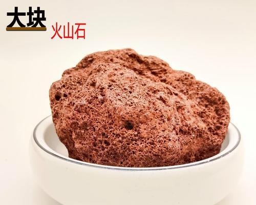 多肉植物用什么铺面石？铺面石的选择对多肉植物有何影响？