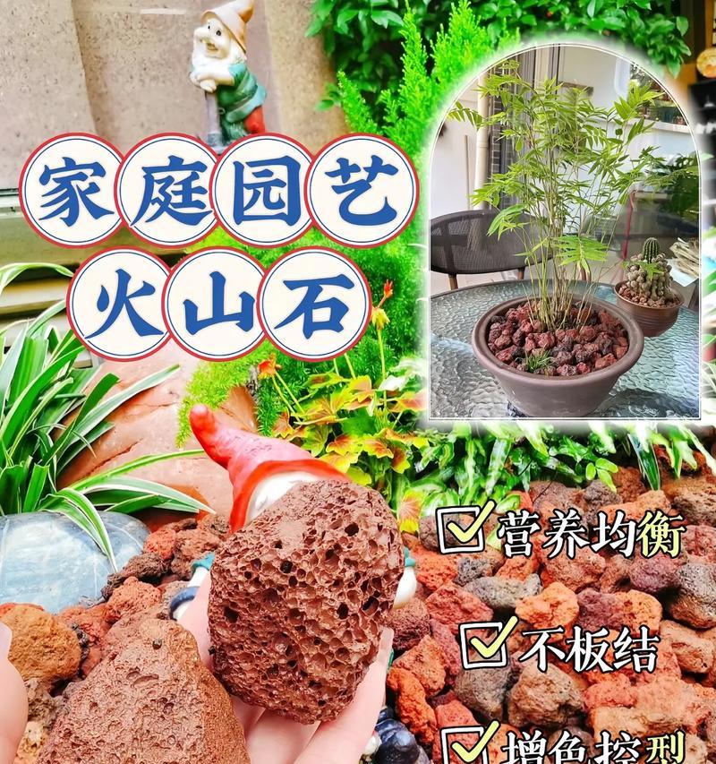 多肉植物用什么铺面石？铺面石的选择对多肉植物有何影响？