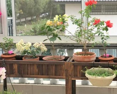 楼顶植物养护有哪些技巧？楼顶花草植物的种植要点是什么？