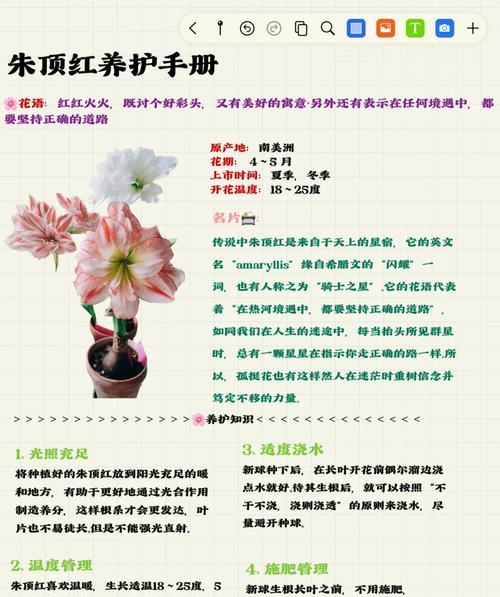 楼顶植物养护有哪些技巧？楼顶花草植物的种植要点是什么？