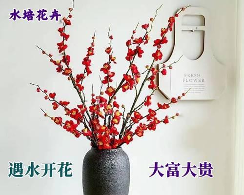 水培枝条适合哪些花卉？如何成功水培不同种类的花卉？