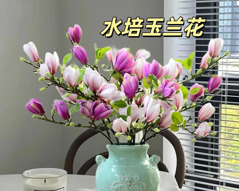 水培枝条适合哪些花卉？如何成功水培不同种类的花卉？