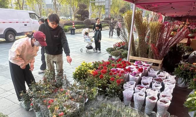 禅城哪里有花卉市场？禅城花卉市场有哪些特色？