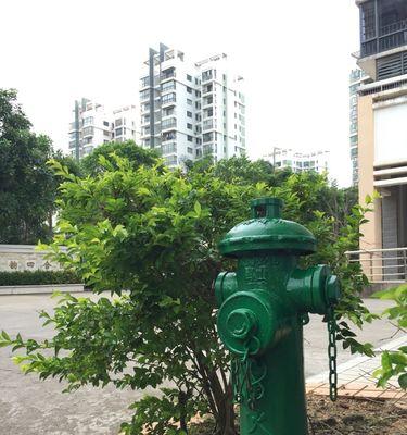 消防种植推荐哪些植物？选择标准是什么？