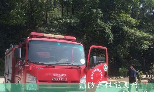 消防种植推荐哪些植物？选择标准是什么？