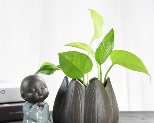 化妆瓶插植物怎么插？有哪些创意插法推荐？