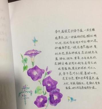 丸子叨叨叨花语是什么生肖？花语与生肖的有趣关联？